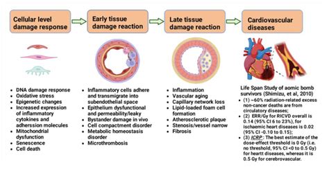 Effects of Vascular Disease .